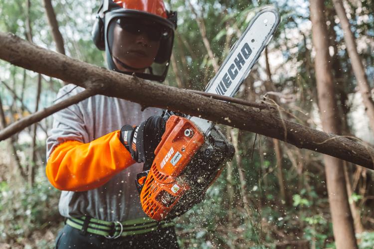 Echo Top Handle Chain Saw CS-2511TES - CS-2511TES 2017 (6).jpg